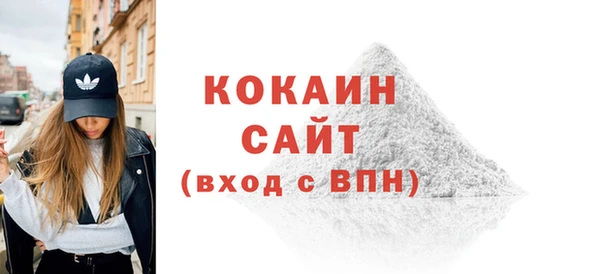 индика Няндома