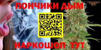 шишки Конаково