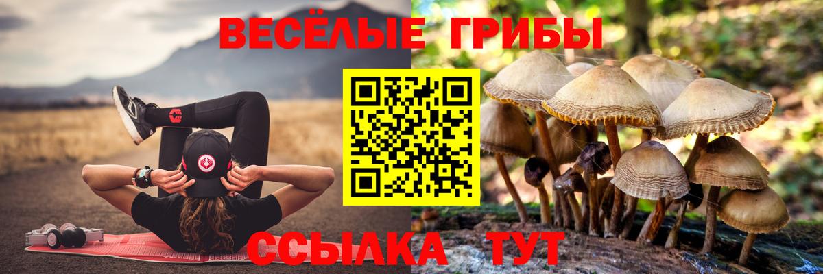Псилоцибиновые грибы мухоморы Новомосковск